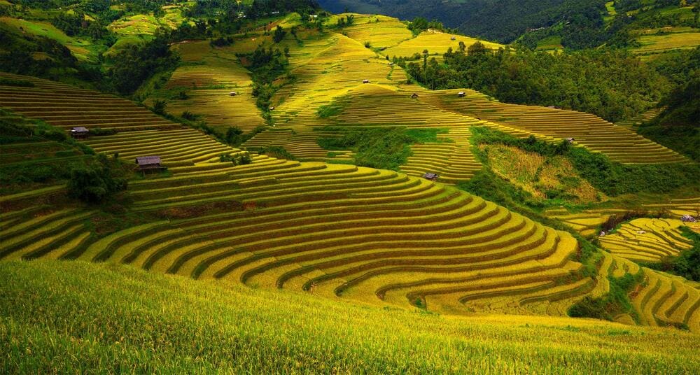 Vietnam is famous as a destination with diverse costs, attractive landscapes and many interesting experiences